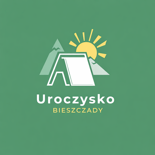 Rosół z makaronem